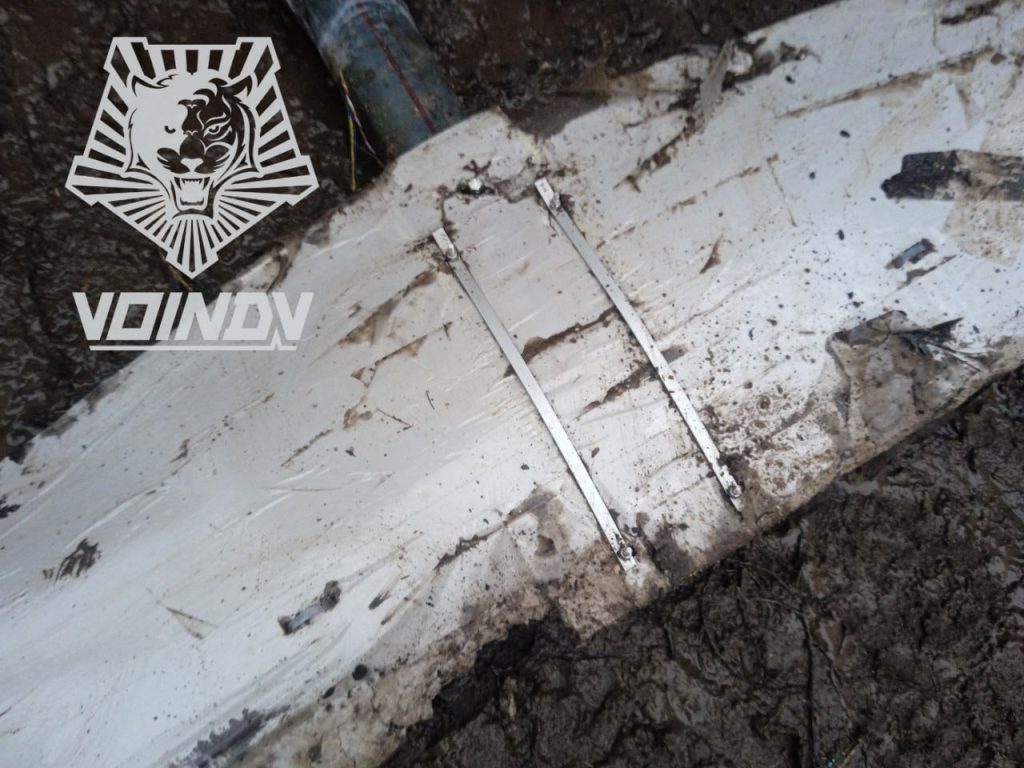 Очередная сбитая нашими воинами украинская птичка