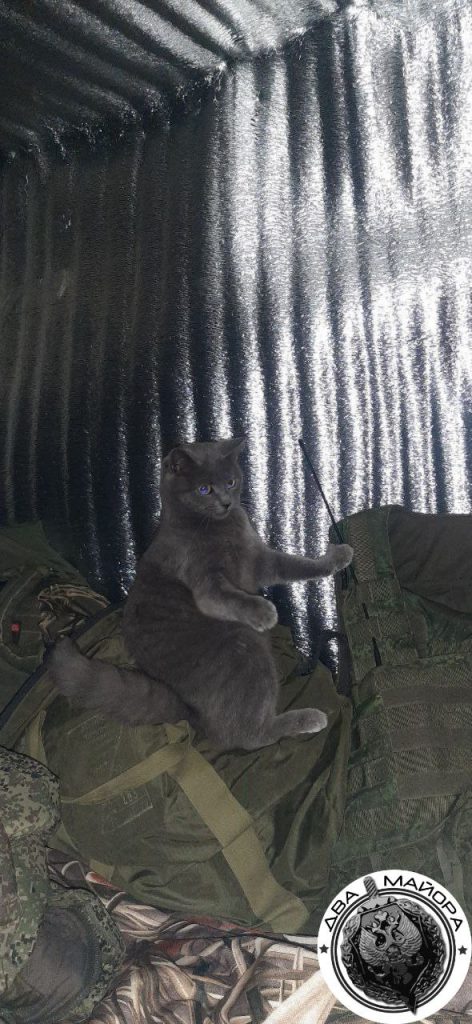Запорожский фронт. Позиции наших