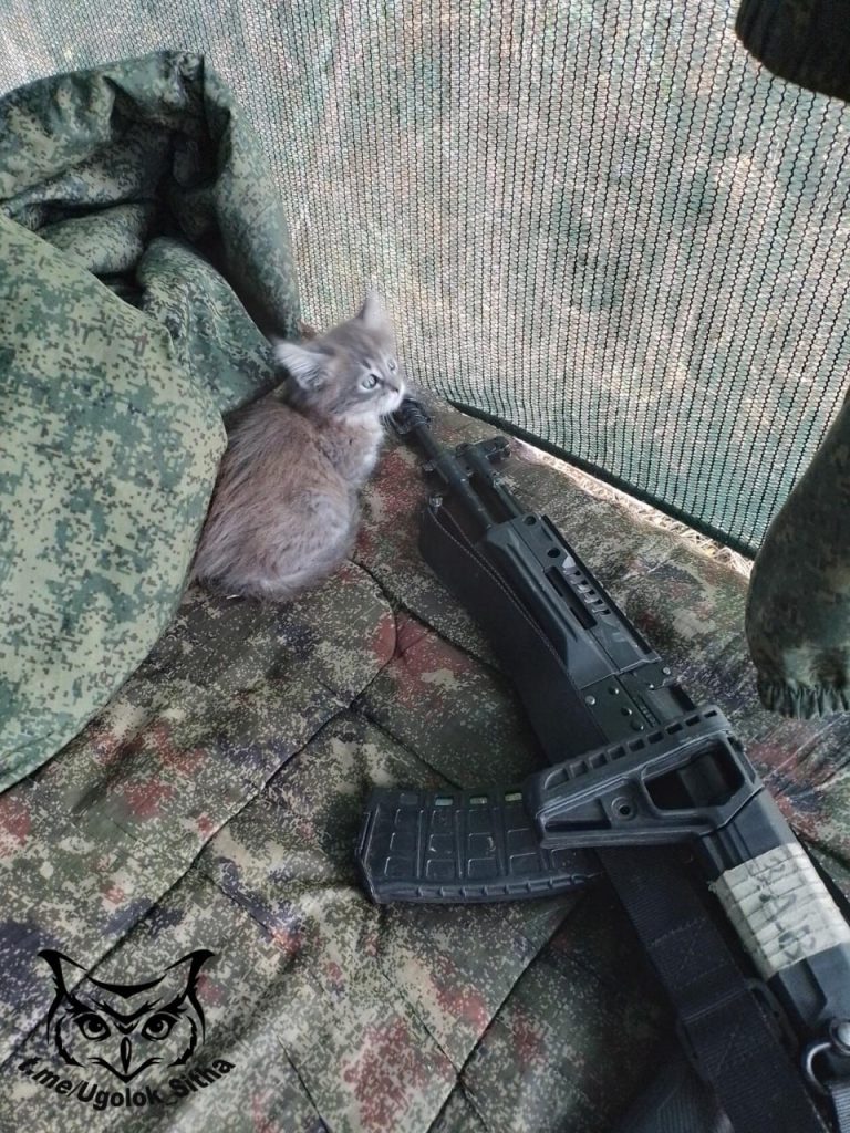 Фронтовые питомцы😊