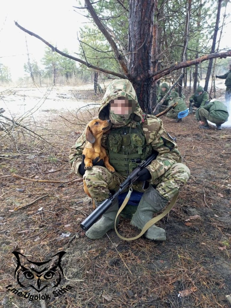 Фронтовые питомцы😊