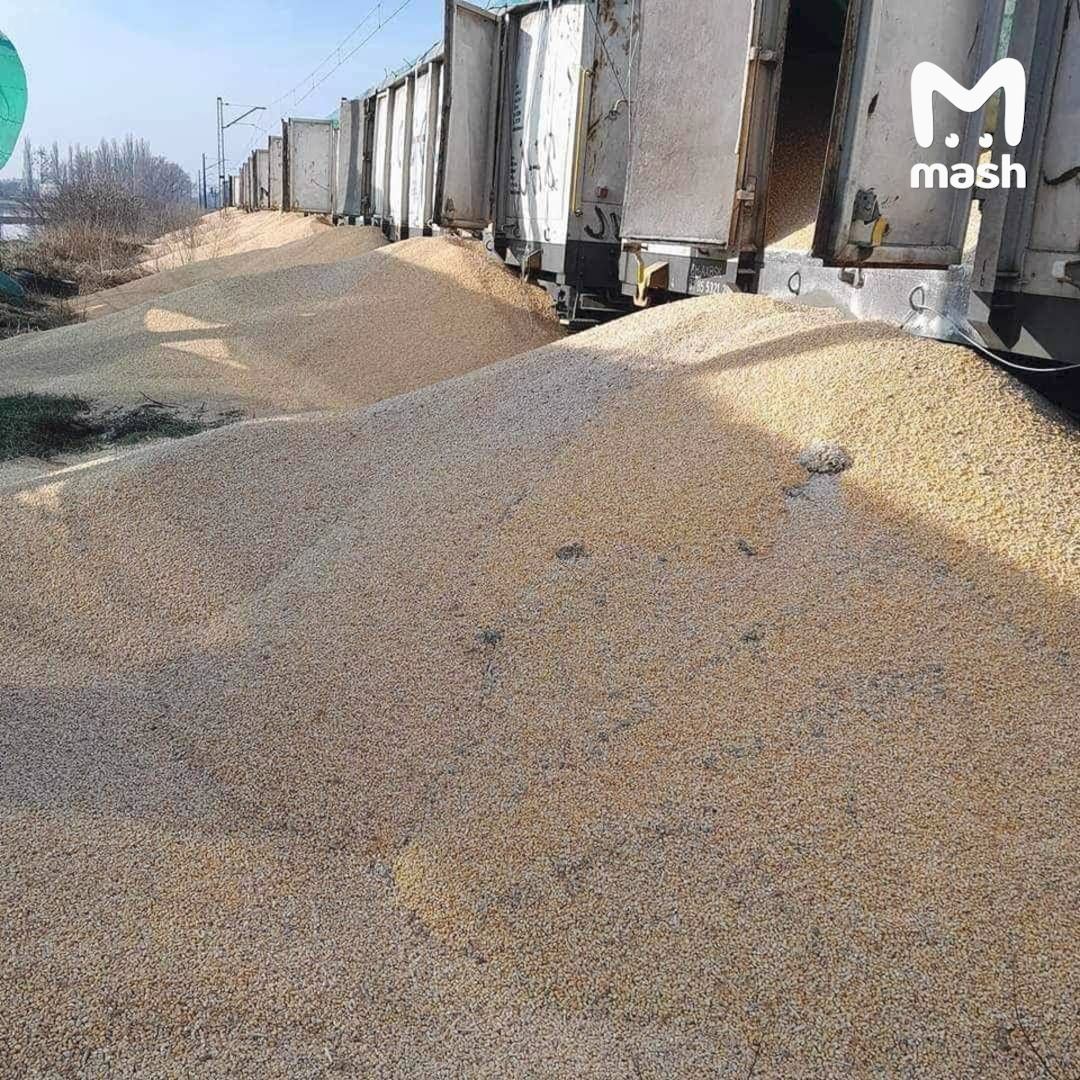 Очередной привет украинцам из Польши — неизвестные высыпали из товарняка 160 тонн зерна, которое шло из Незалежной транзитом в Гданьск
