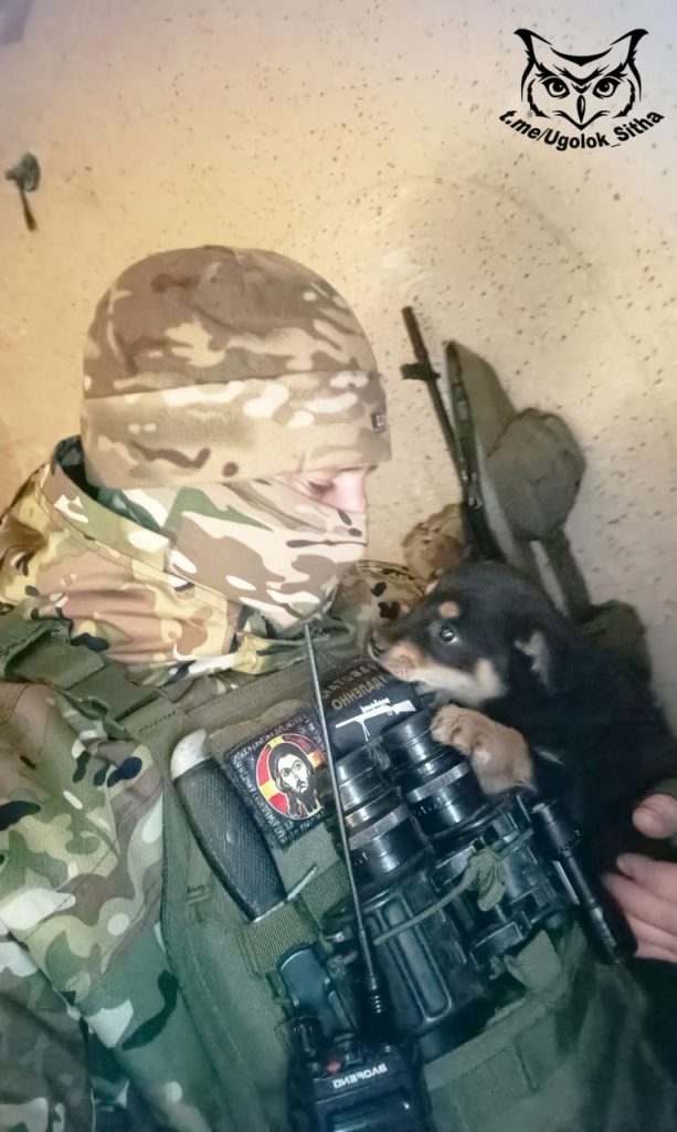 Фронтовые питомцы