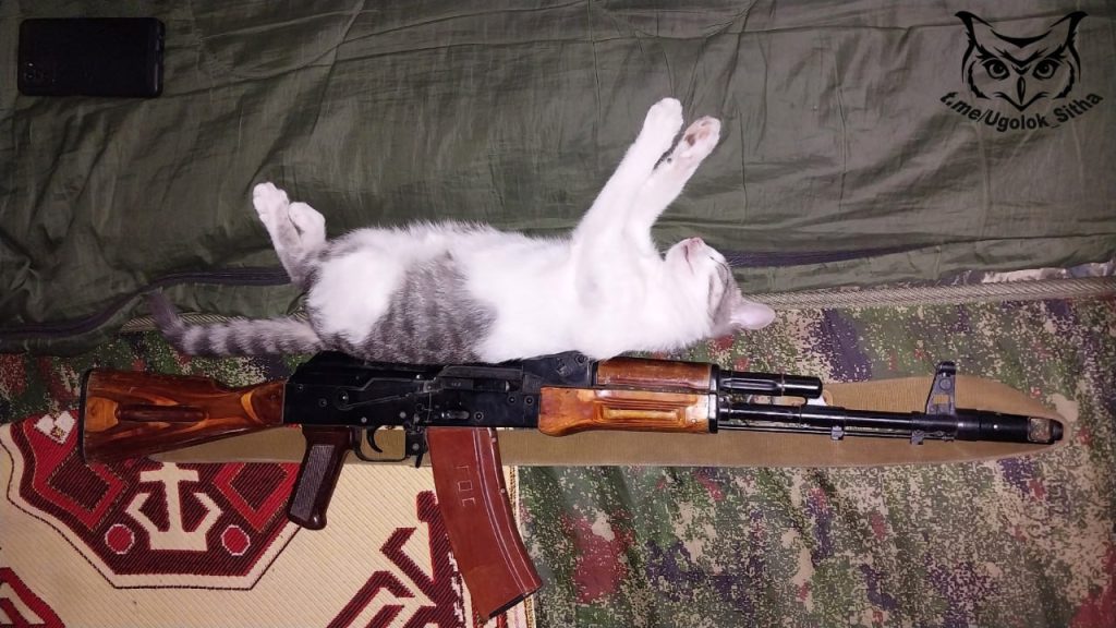 Фронтовые питомцы