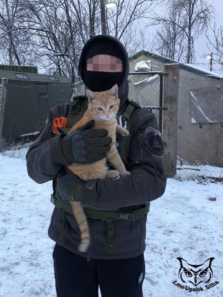 Фронтовые питомцы
