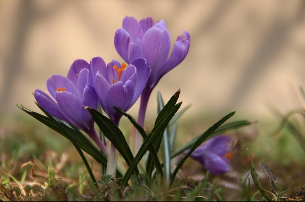 Вечерний звон 25.03.2024: самые звонкие события уходящего дня