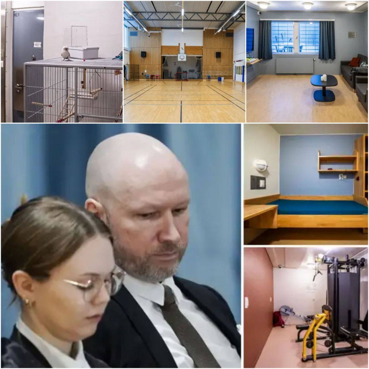 Убийца 77 человек Андрес Брейвик, приговоренный к максимальному сроку в 21 год, потребовал, чтобы норвежское правительство разрешило ему вести переписку с миром