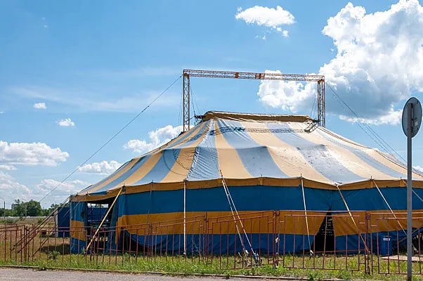 Несколько украинских цирков получили бронь от мобилизации