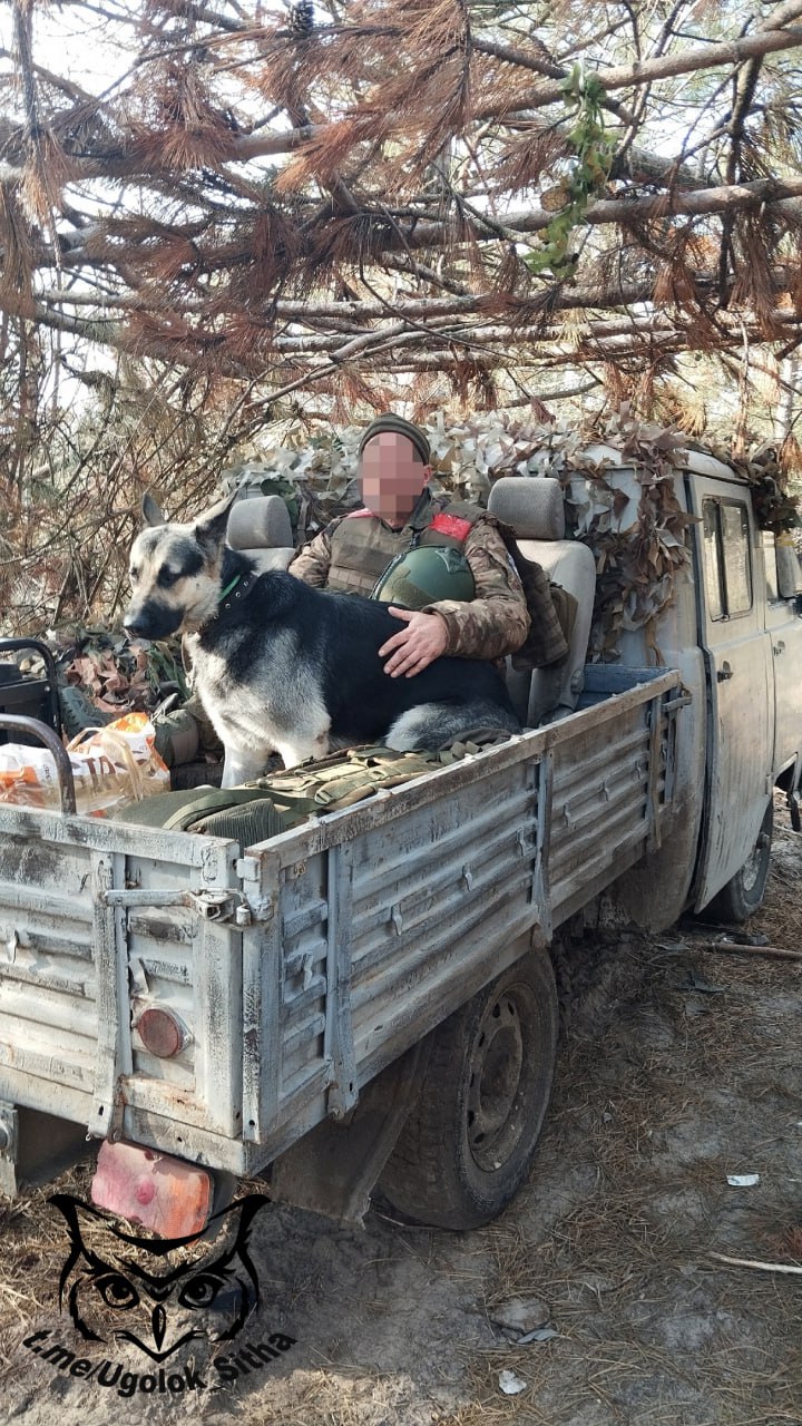 Z - в зоне проведения Специальной Военной Операции