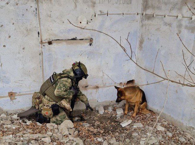 В ЛНР найден тайник ВСУ с французским оружием