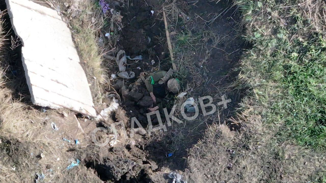 Битва в Красногоровке