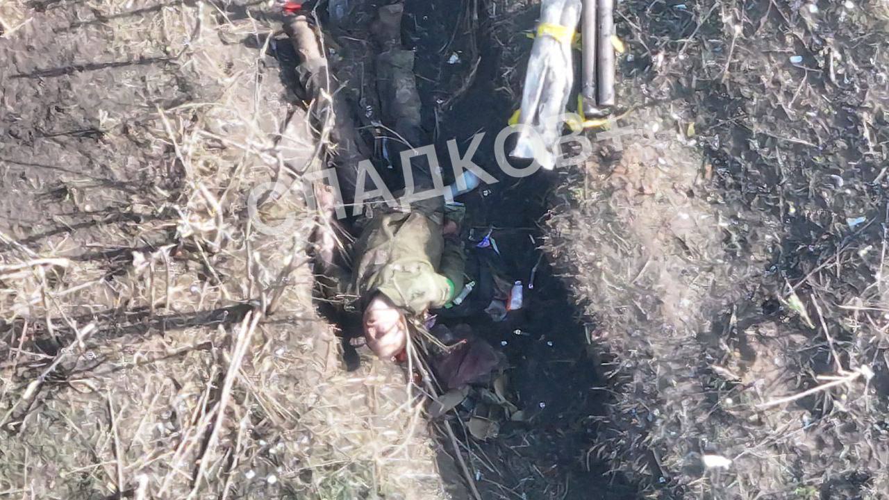 Битва в Красногоровке