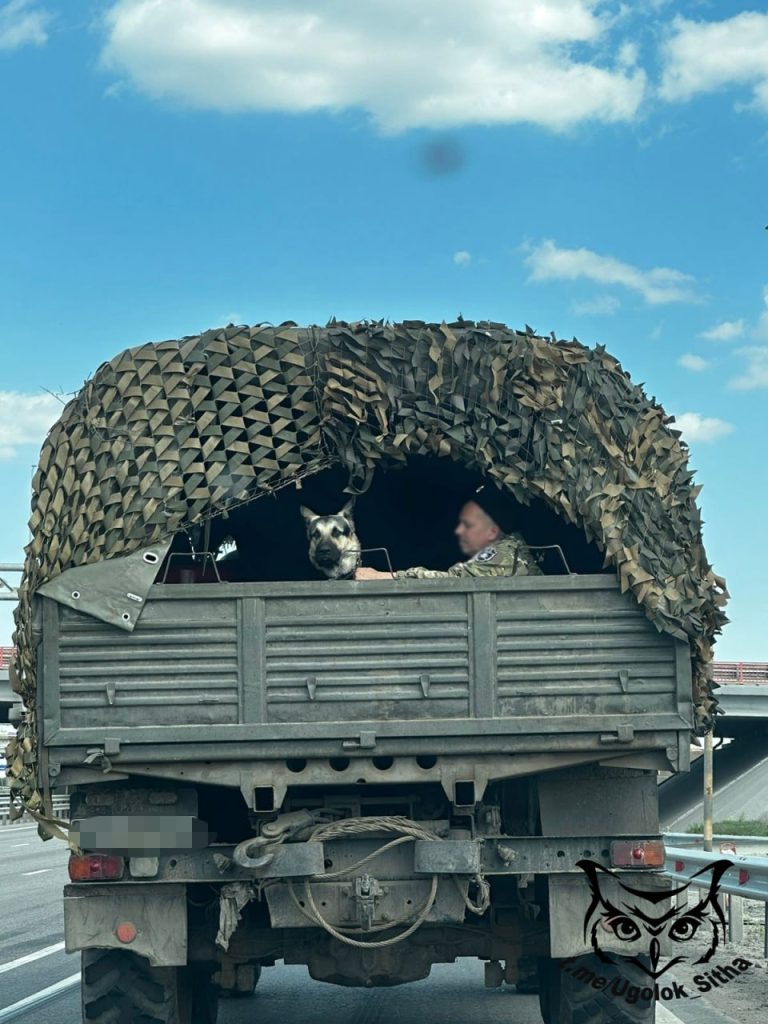 Фронтовые будни. Моменты СВО.