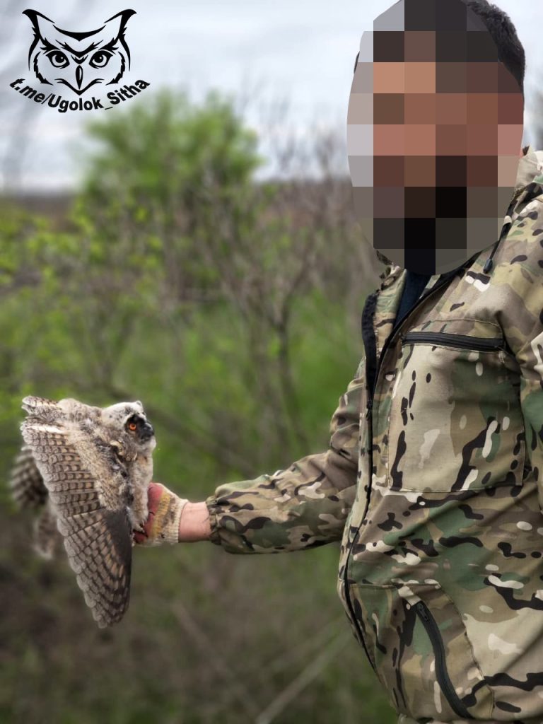 Z - в зоне проведения Специальной Военной Операции
