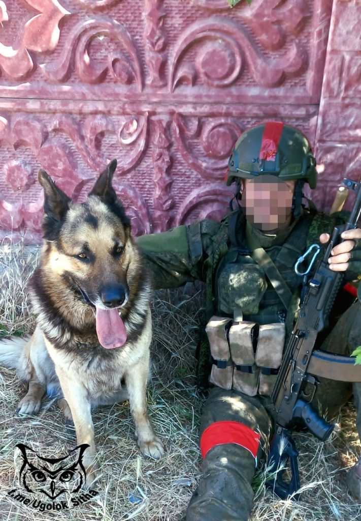 Z - в зоне проведения Специальной Военной Операции