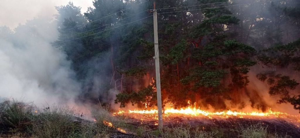 ВСУ убили 78-летнюю бабушку сегодня в ходе обстрела Новой Каховки в Херсонской области