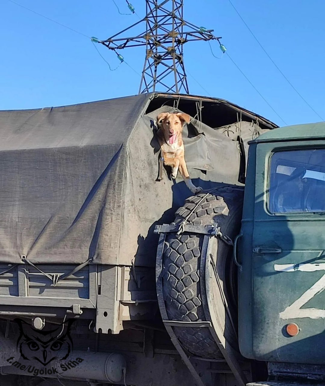 Z - в зоне проведения Специальной Военной Операции