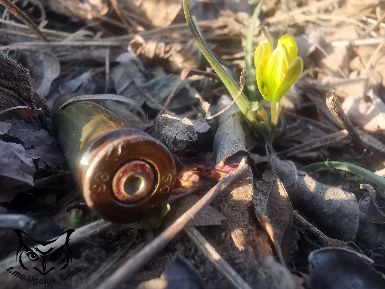 Атмосфера войны