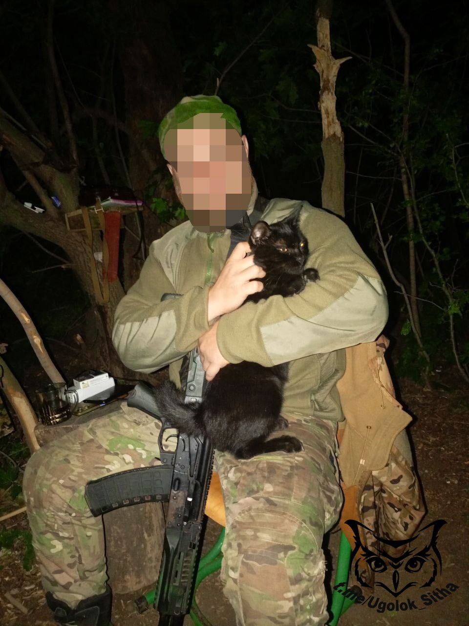 Фронтовые котики