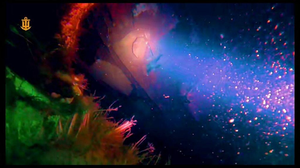 Десантно-штурмовой катер «Станіслав» (L450) проекта 58503 затонувший у острова Змеиный около 10:30 7 мая 2022 года, во время выполнения боевой задачи по высадке десанта на остров Змеиный