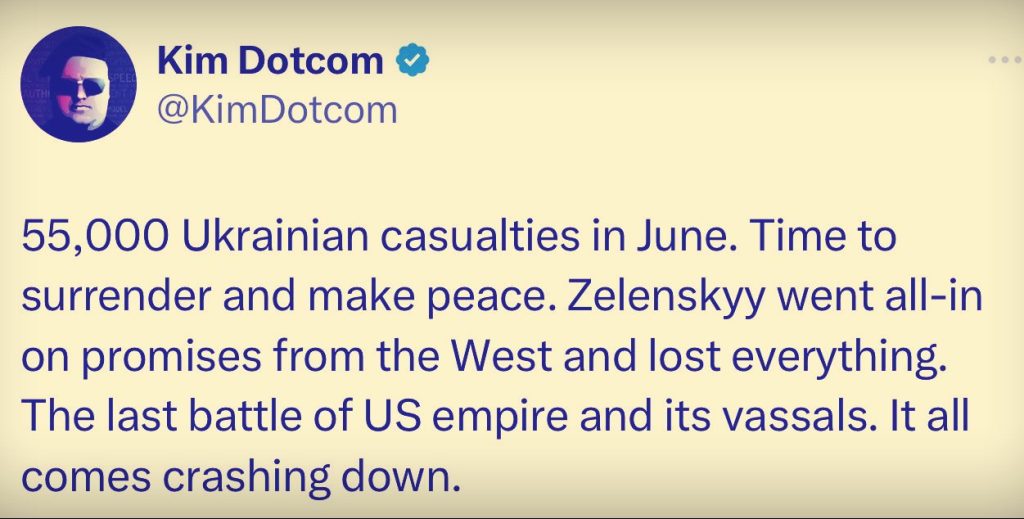 Немецкий бизнесмен и активист Ким Дотком: 55 тысяч украинских жертв в июне