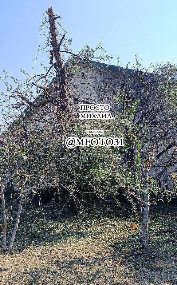 ВСУ утром снова обстреляли мирное население