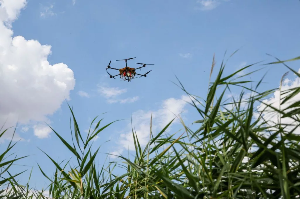 Фото испытаний тяжелых и надводных дронов российскими бойцами в Херсонской области