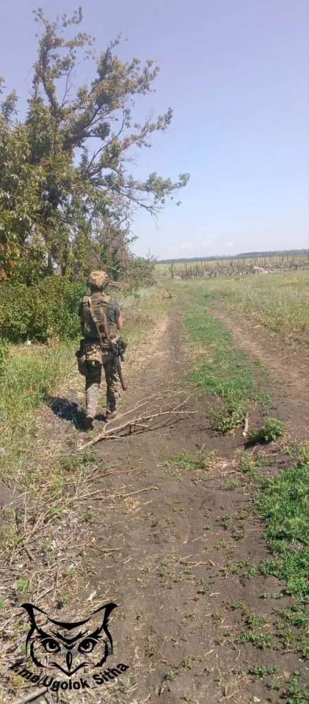 Z - в зоне проведения Специальной Военной Операции