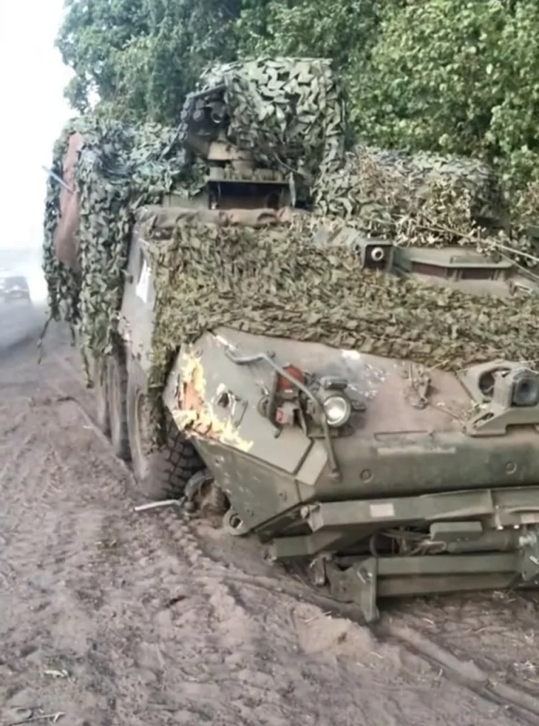 Очередной редкий редкий M1132 Stryker ESV, потерянный ВСУ в ходе наступления в Курской области