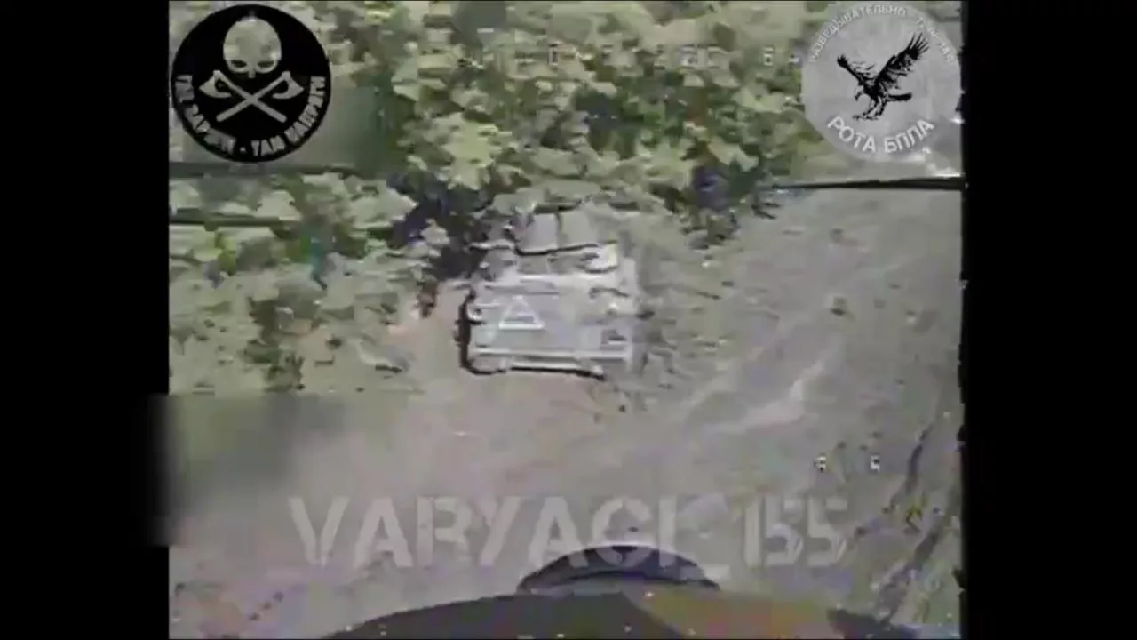 Удары FPV-дронов по американскому M113 и турецкому Kirpi в деревне Вишневка (между Коренево и Глушково), Курская область