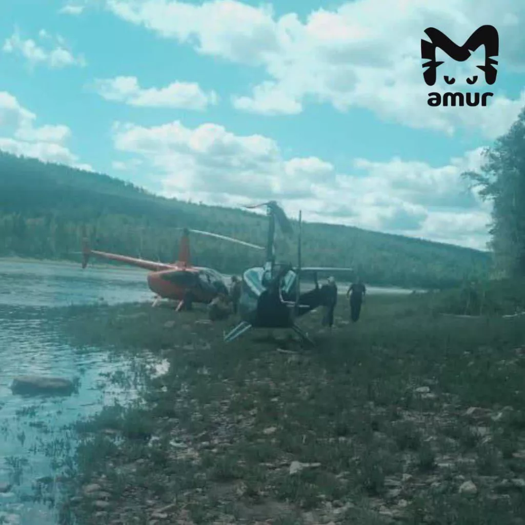 Вертолёт Robinson R66 с тремя людьми на борту потерпел крушение в Зейском районе Приамурья