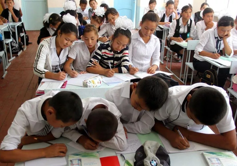 Юрий Подоляка - На шаг позади: еще несколько лет и в стране начнутся необратимые процессы уничтожения образования