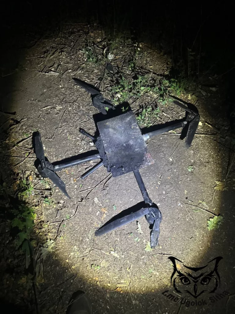 "Баба-Яга" в унынии: Количество сбитых вражеских дронов достигло небывалых высот