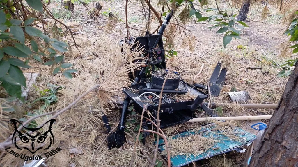 "Баба-Яга" в унынии: Количество сбитых вражеских дронов достигло небывалых высот