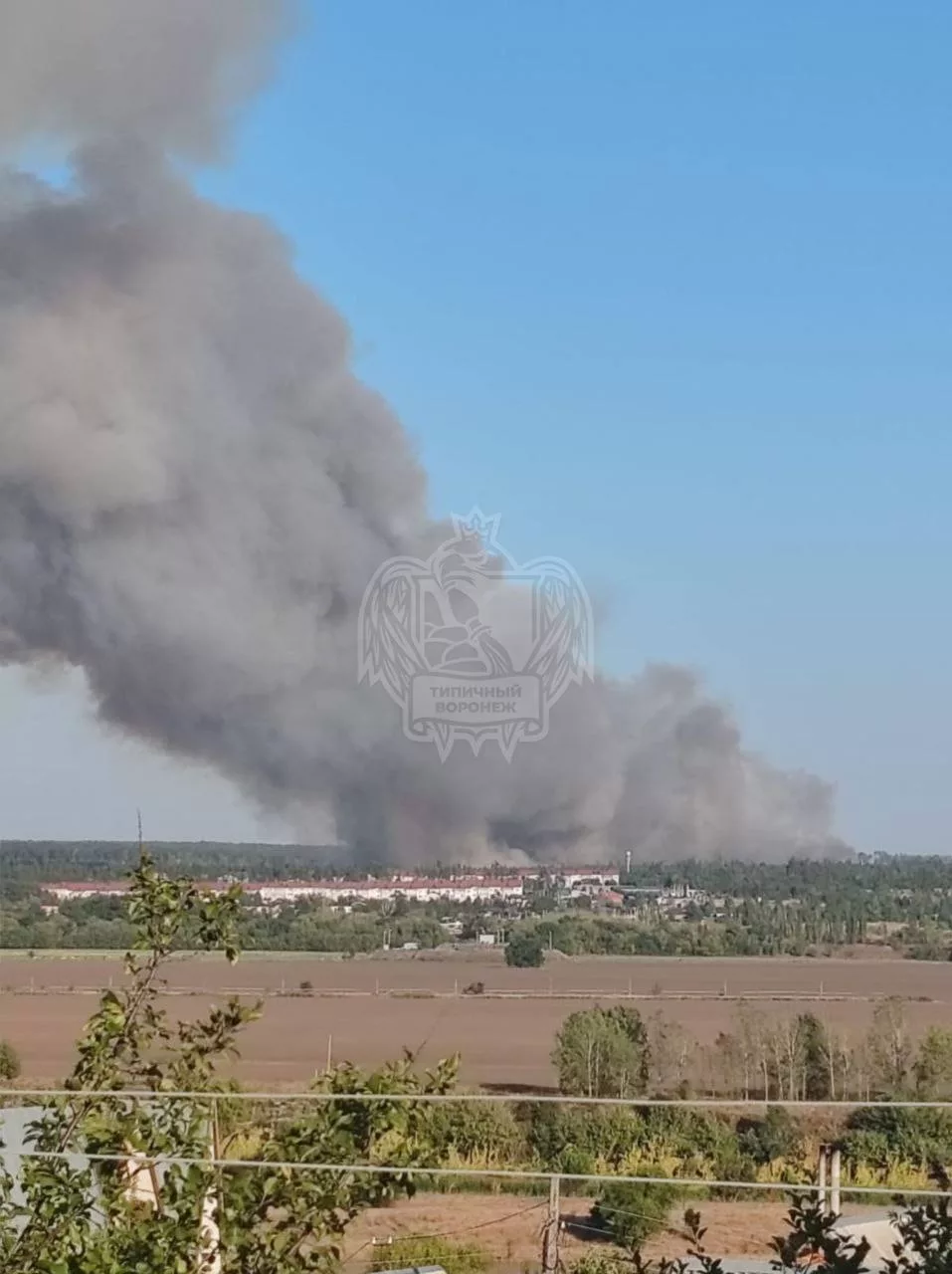 В Воронежской области объявлен максимальный класс пожарной опасности