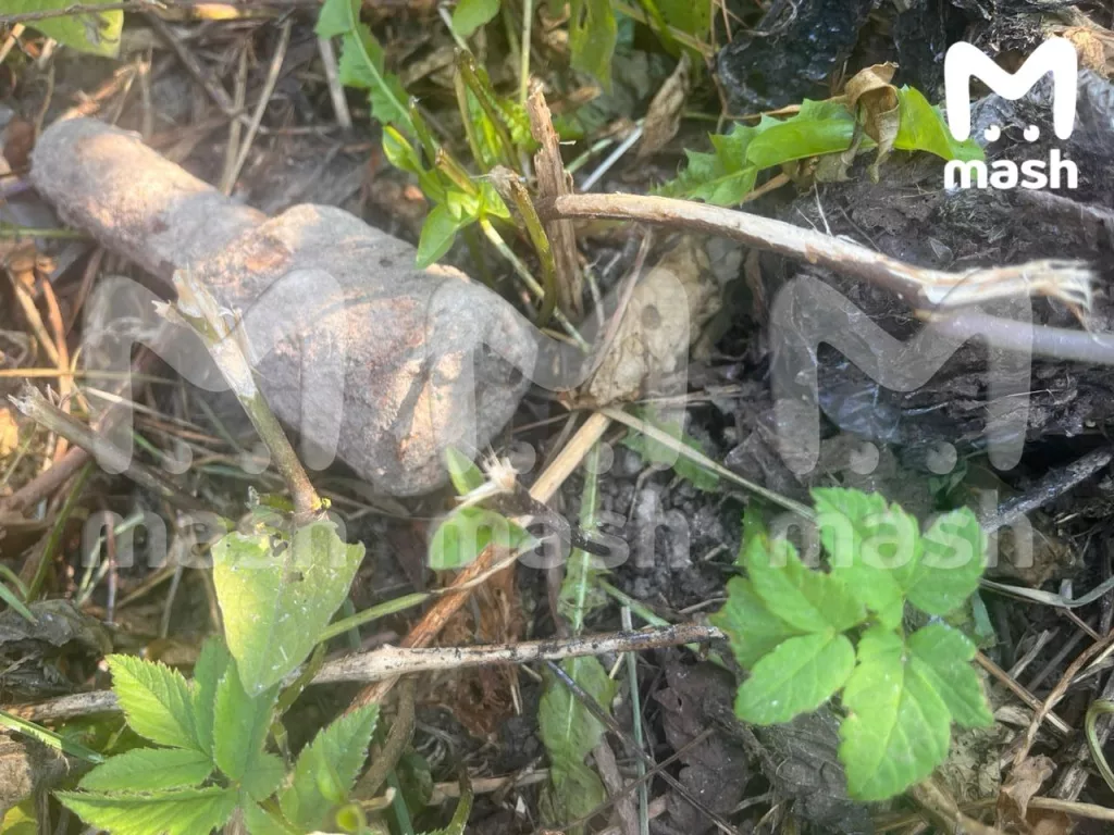 Двухлетний ребёнок нашёл ручную гранату в кустах в деревне Власово подмосковного Одинцово и притащил её домой