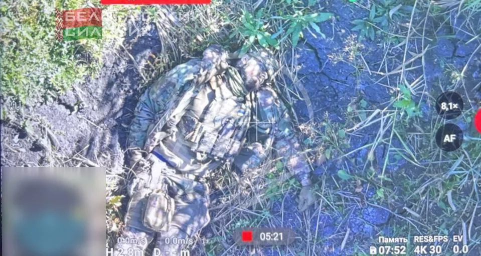 Мобилизованные воины ВС РФ уничтожают вырусей на Волчанском направлении