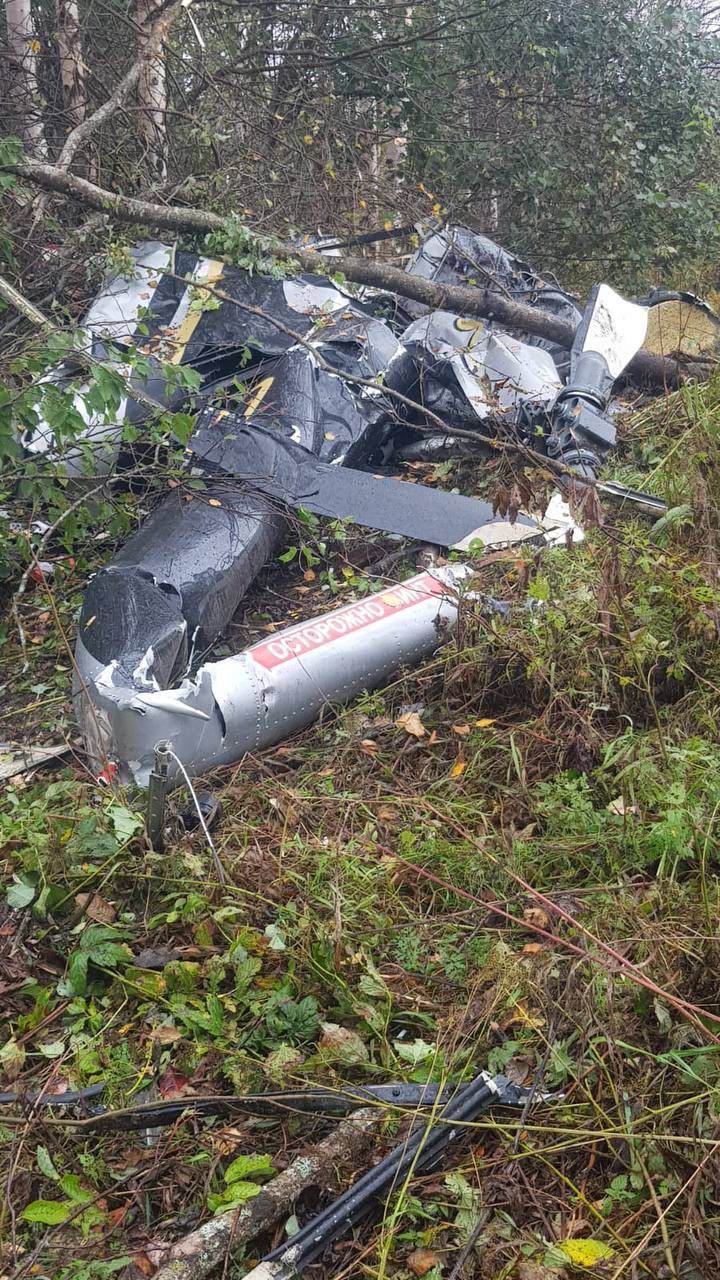 Изобретательный учитель математики. Как советский снайпер ловил нацистов на гусей