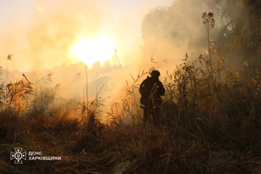 ВСУ атаковали поселок Дубовое в Белгородской обл. Дрон влетел в квартиру многоэтажки