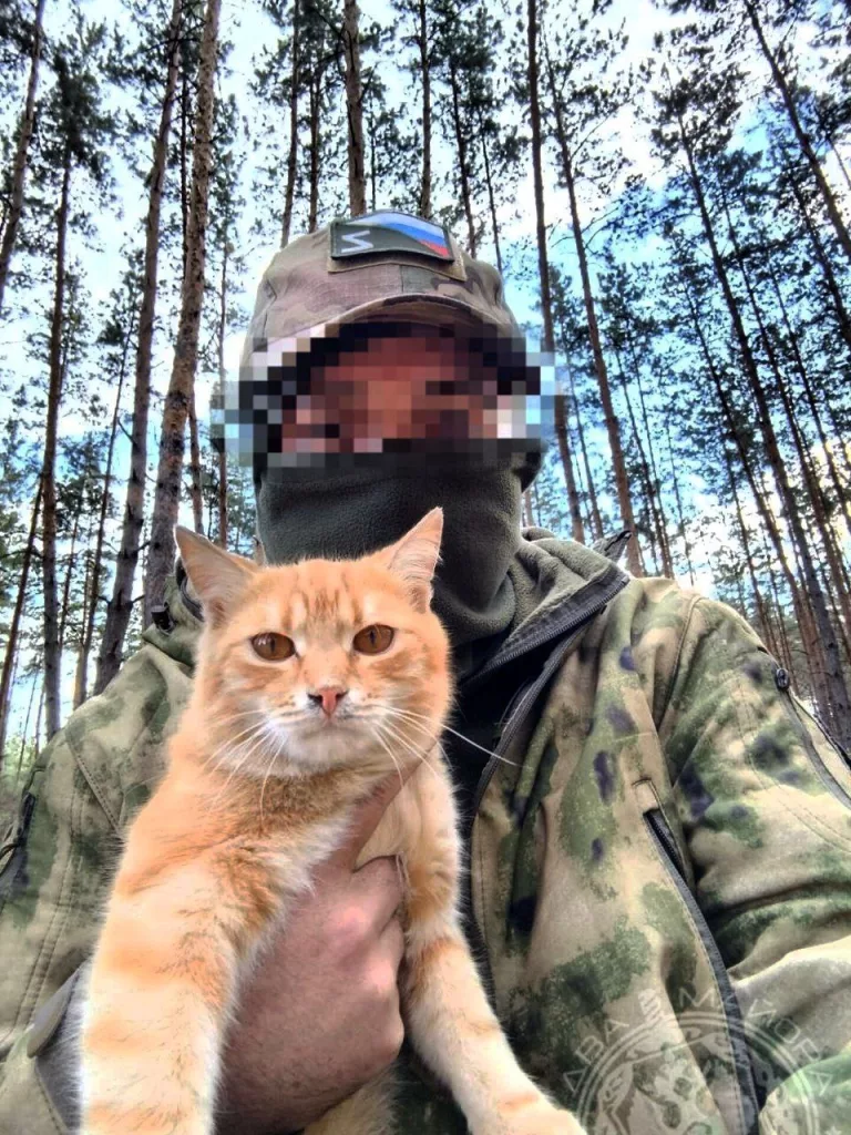 Моменты СВО. Будни фронта.