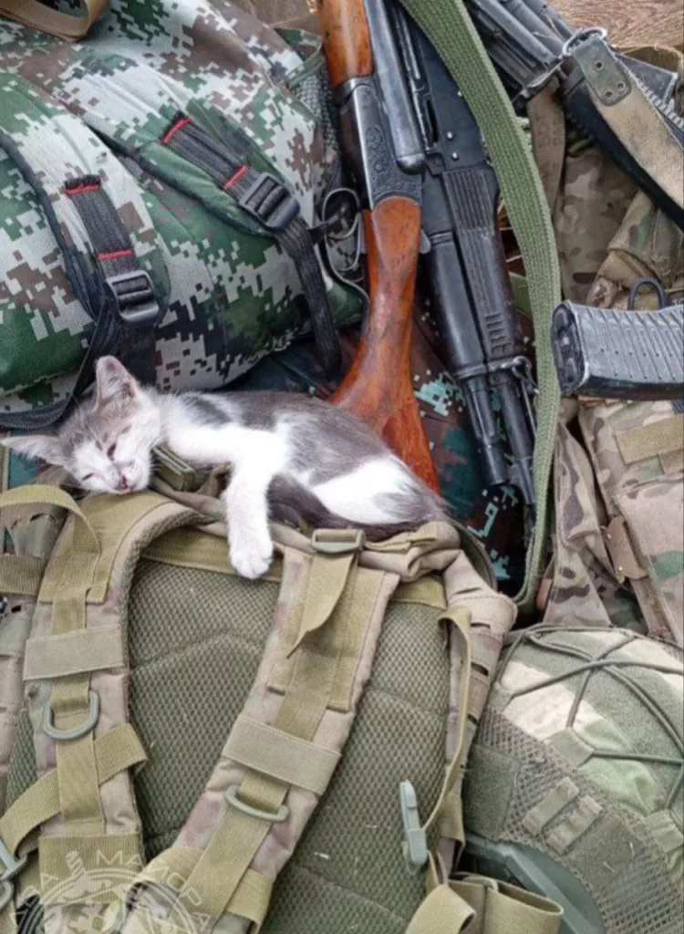 Моменты СВО. Будни фронта.