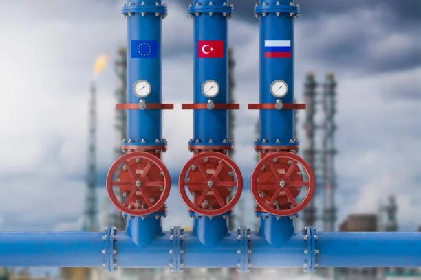 Путин и Эрдоган обсудят создание газового хаба