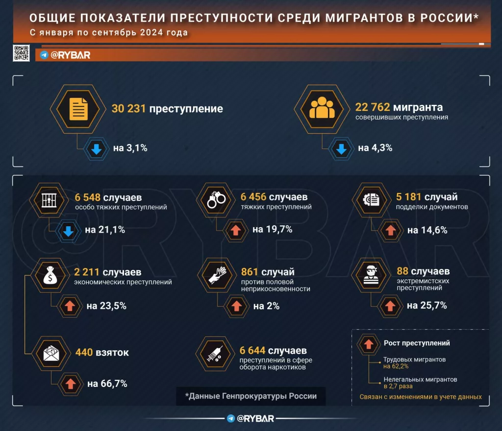 О преступлениях мигрантов в 2024 году
