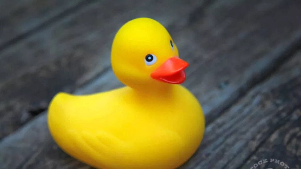 В Стаханове ранен мальчик, подобравший заминированную детскую игрушку