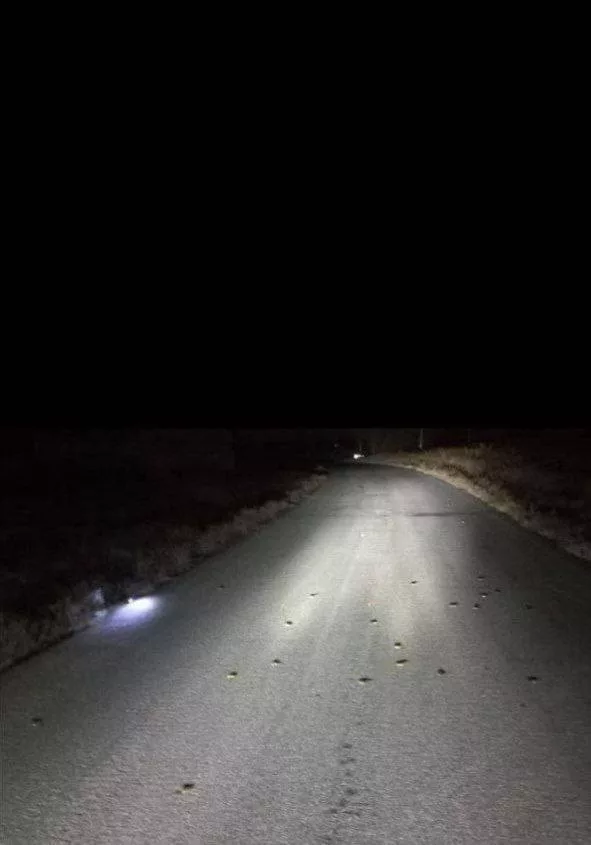 ВСУ разбрасывают «лепестки» в Белгородском районе