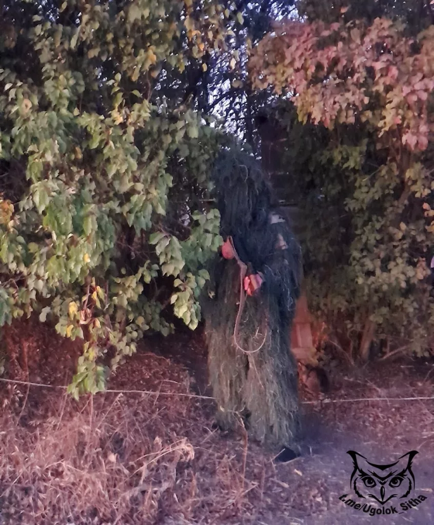 Лешие, часть V