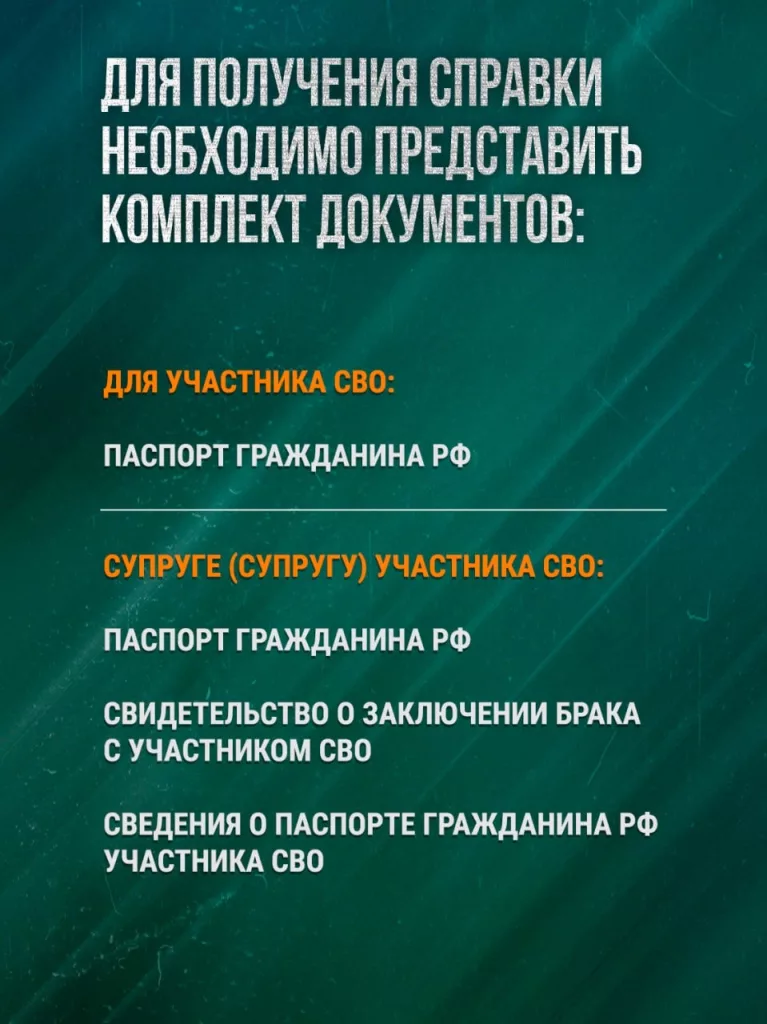 В России запущена система подтверждения статуса участника СВО без документов - подробности