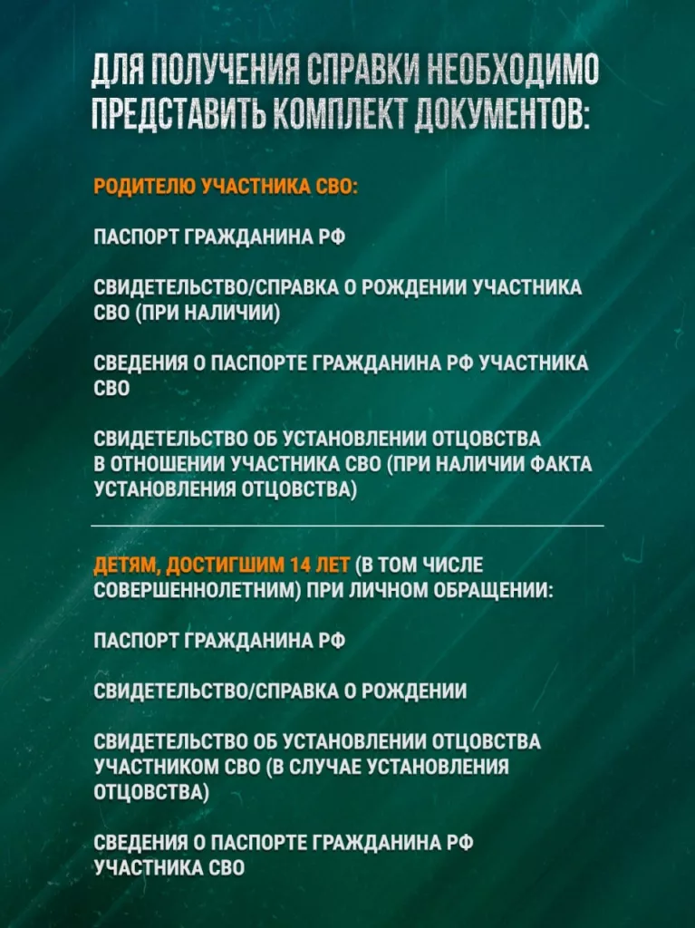 В России запущена система подтверждения статуса участника СВО без документов - подробности