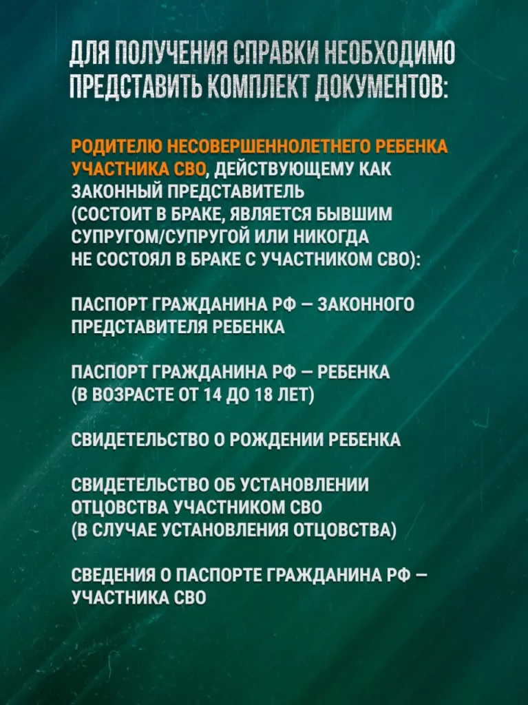 В России запущена система подтверждения статуса участника СВО без документов - подробности