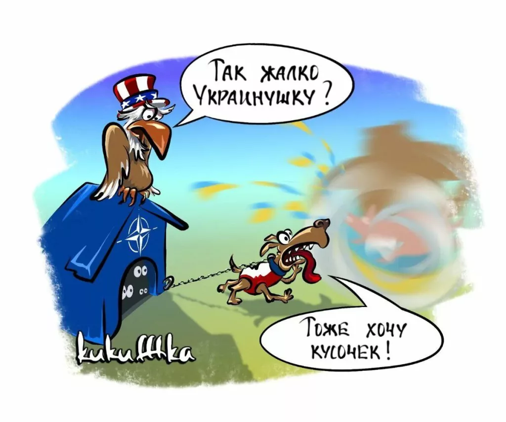 Польша предлагает Украине покупать у нее вооружения в кредит