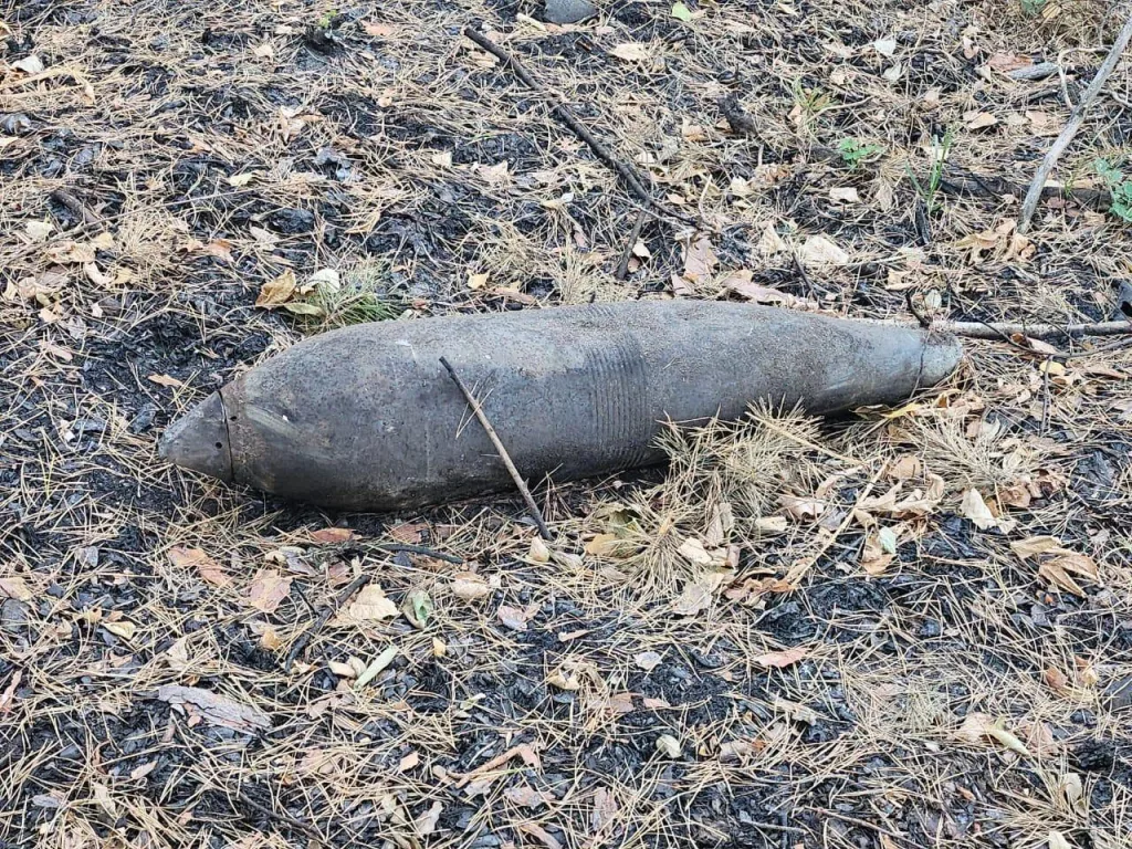 Неразорвавшиеся боеприпасы в лесу Острогожского района Воронежской области после ударов ВСУ по "складу взрывоопасных предметов"